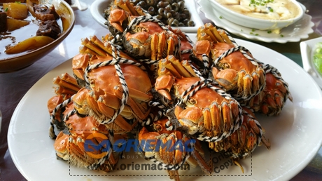 ORIEMAC Outing to Yangcheng Lake for Hairy Crabs_3